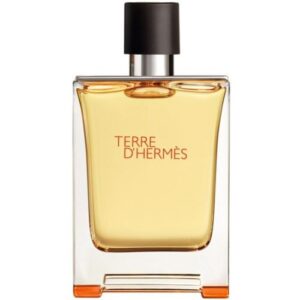 Hermes Terre D'Hermes EDT 100ml for Men