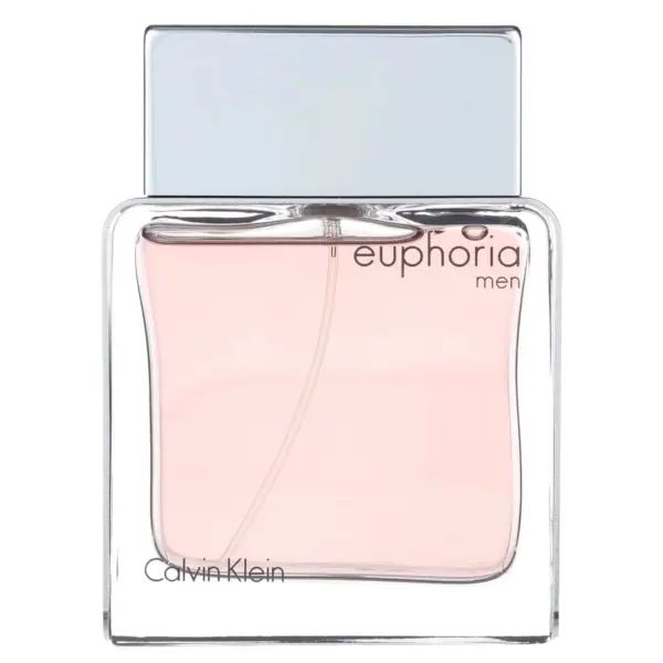 Calvin Klein CK Euphoria Edt 100ml for Men
